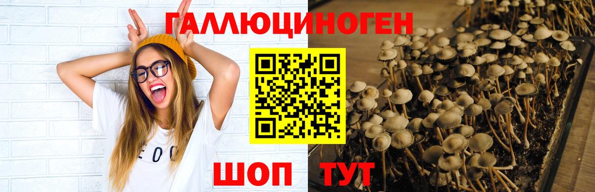 купить закладку  Галлюциногенные грибы Psilocybe  Вход с VPN  Галлюциногенные грибы Psilocybine cubensis  Кинешма 